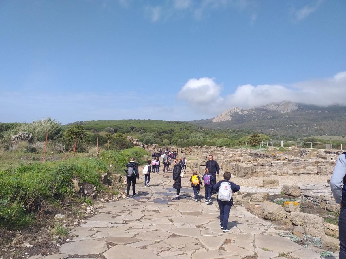 Excursion Baelo Claudia